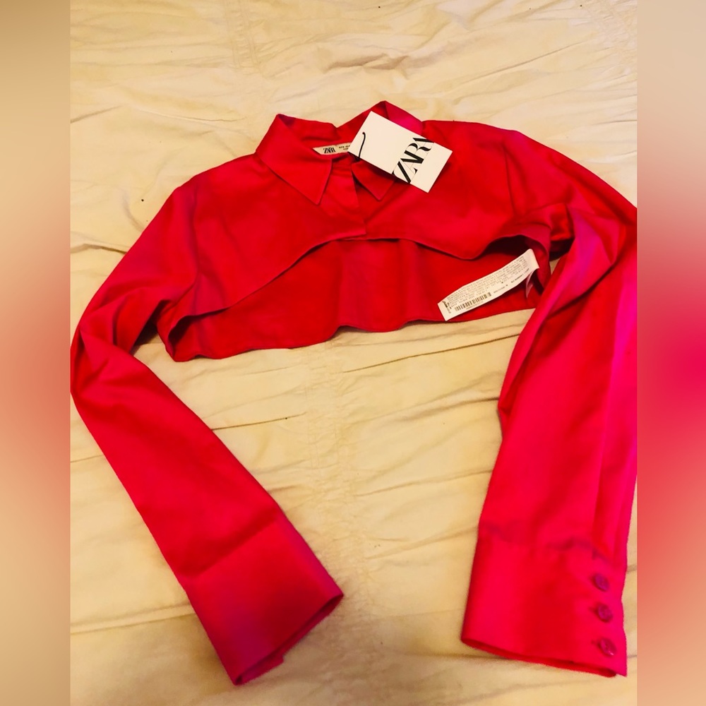 Zara crop top